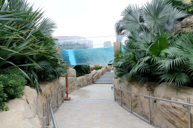 嫲嫲叹世界之浦尽澳门蚝门夜宴、健康轻食扶墙半自助餐