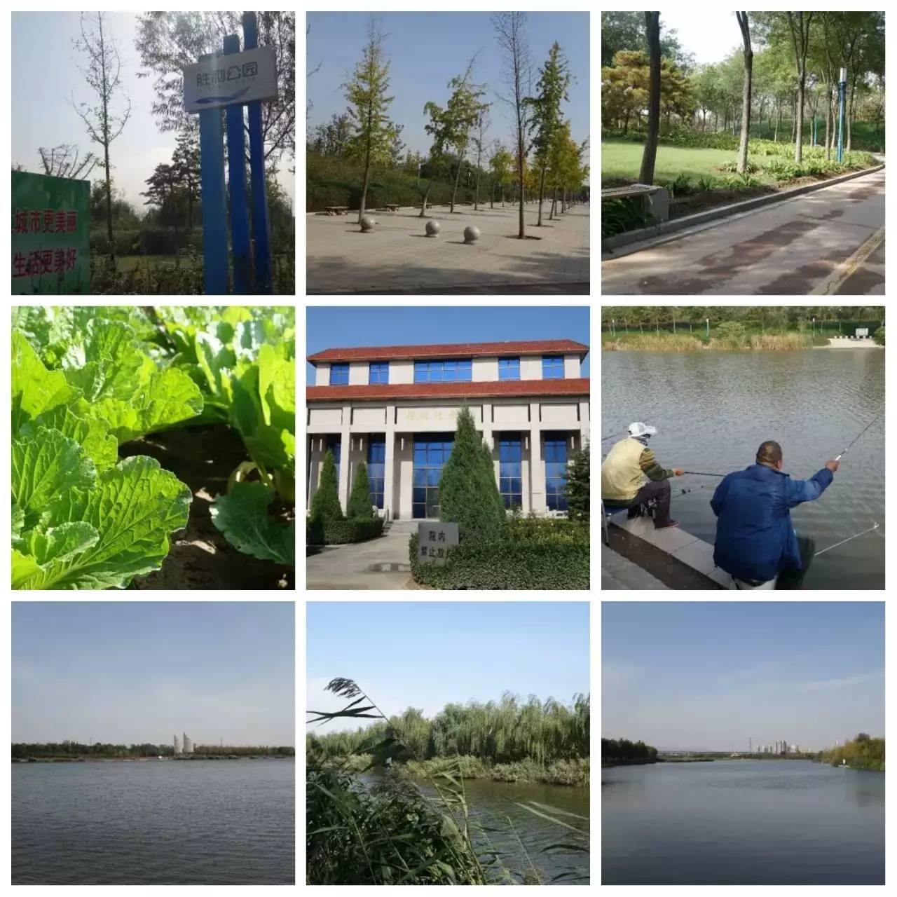 我用30万步,走遍石家庄公园