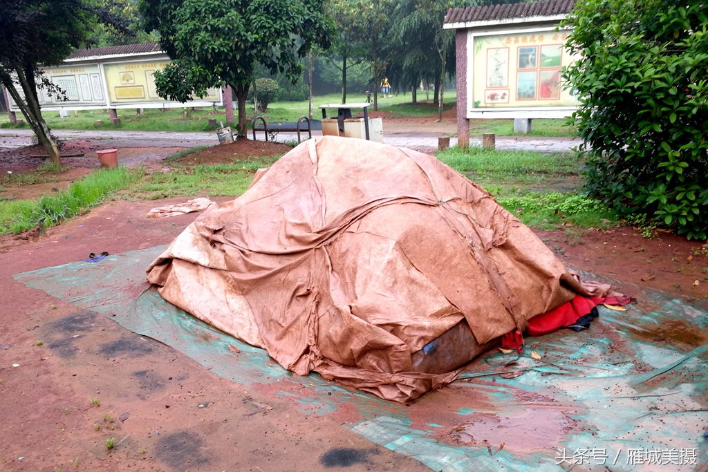 衡阳市平湖公园,衡阳平湖公园
