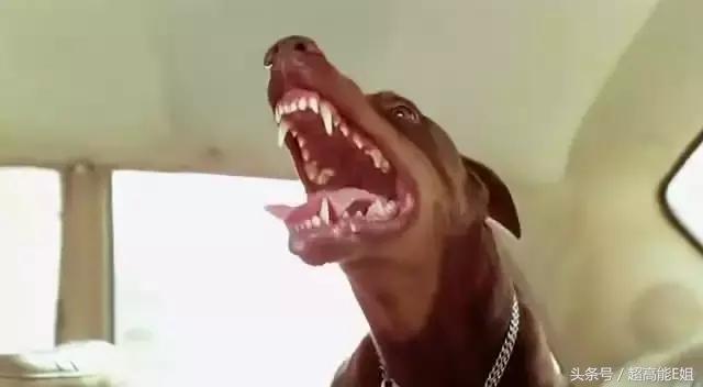 凶宅有诡异现象,凶宅的诡异秘密