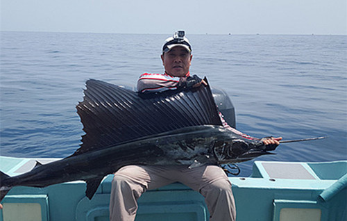 一啸渔乐,常见平尾海鱼有哪些