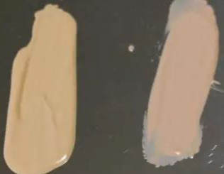 适合任何肤质持久不脱妆的粉底,bobbibrown弹润滋养光泽粉底