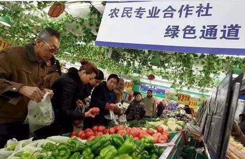 合作社分红交税吗,合作社分红要交多少个人所得税