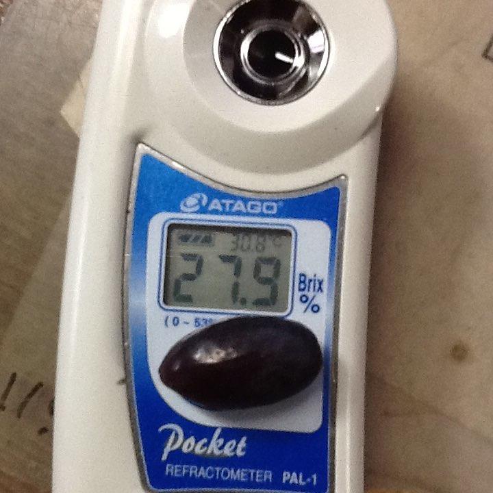 七星女王葡萄的优点和缺点,七星女皇葡萄简介