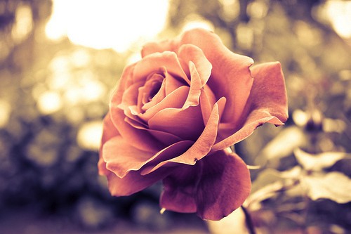 女人不狠地位不稳男人应该怎么回,女人不狠地位不稳系列