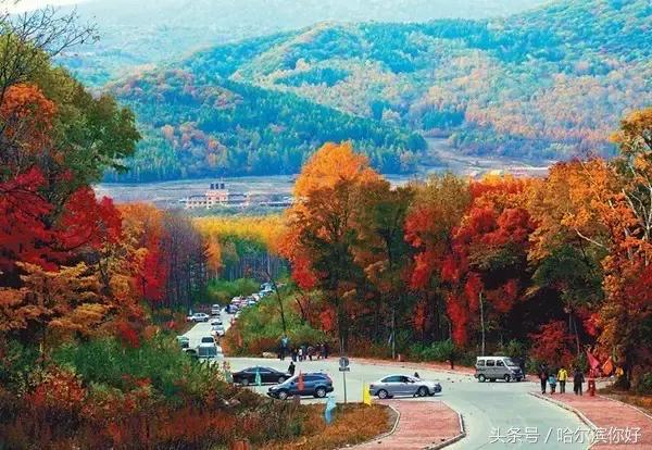 阿城有希望吗,阿城未来的发展