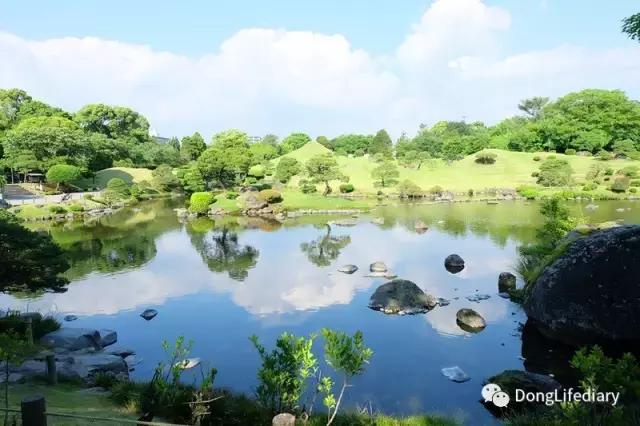 去日本北九州好吗,北九州看樱花