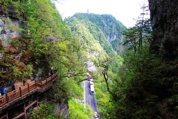 神农架有几个洞,神农架有一个神秘的深谷