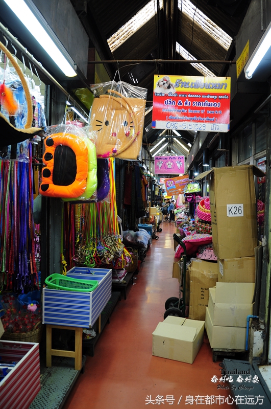 泰国最新旅游之地,泰国旅游清晨时光