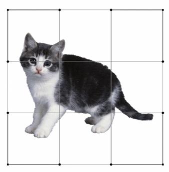 ps直接选择工具怎么变形,ps图片变形调整工具