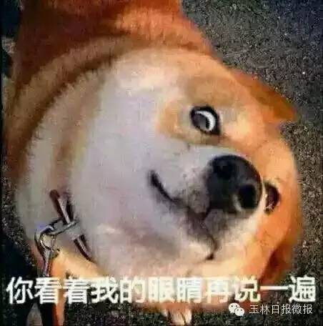 2016玉林最新娶妻价目表出炉！有网友表示以后不敢生男孩了......