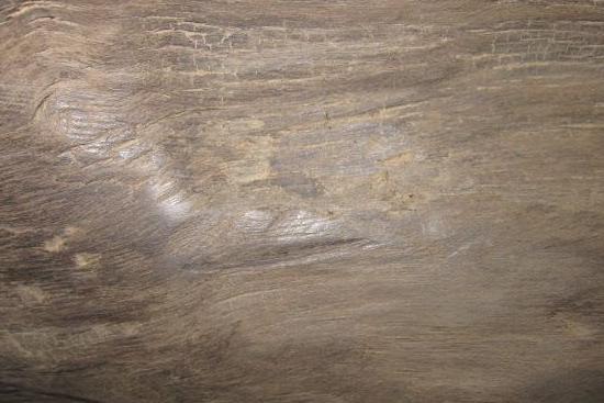 乌木中哪种乌木最好,乌木最高价格是多少