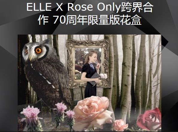 特色花店营销策略,如何开一家花店营销策略案例分享