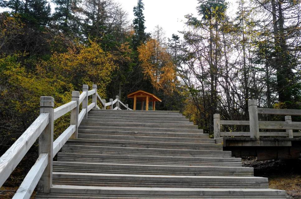 行走在风景里,记录旅游黄龙留下美好回忆