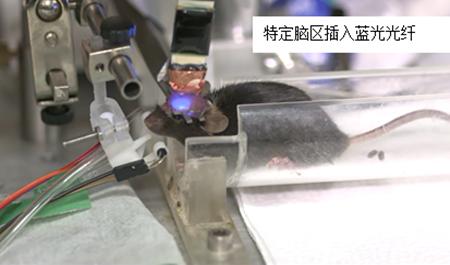 光控大脑,大脑的锁怎么开