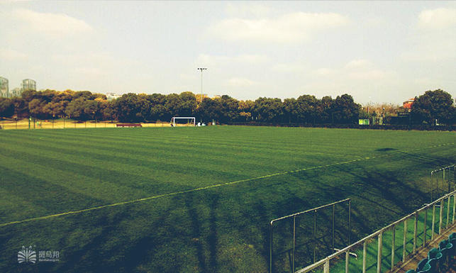 上海足球场人造草坪推荐,上海哪里有足球场草坪