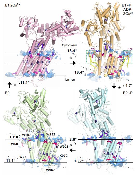环球科学中文网,环球科学官网