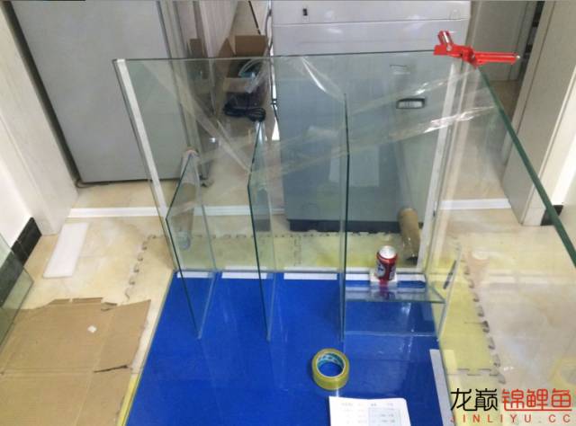 地缸推荐,家里可以搞个多大的地缸