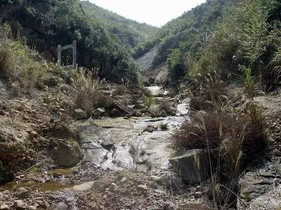 田黄为什么这么贵,真品田黄的真假识别与收藏价值