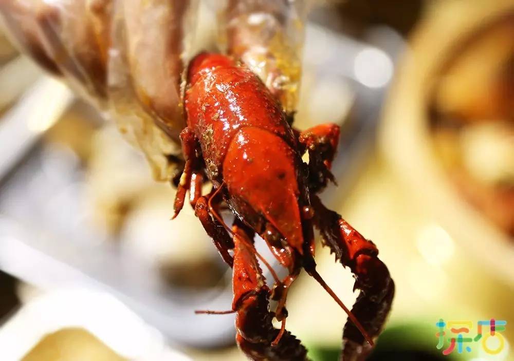 唐山探店特色是什么店,唐山下午打卡探店