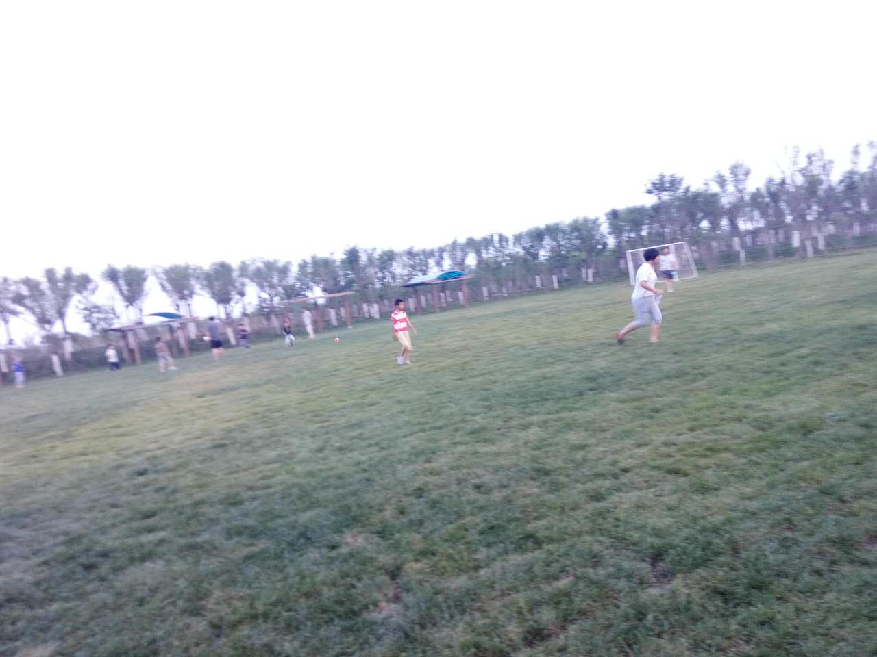 还踢球！问你去哪找场愁不愁！