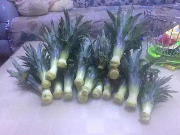 盆栽菠萝能长叶结果，苹果籽也能种出漂亮的小盆栽
