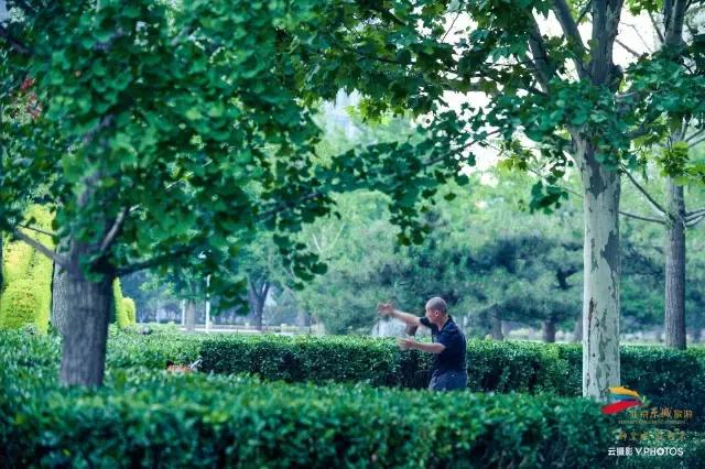 绝美的风景送给你,有一种风景叫朋友圈里的风景