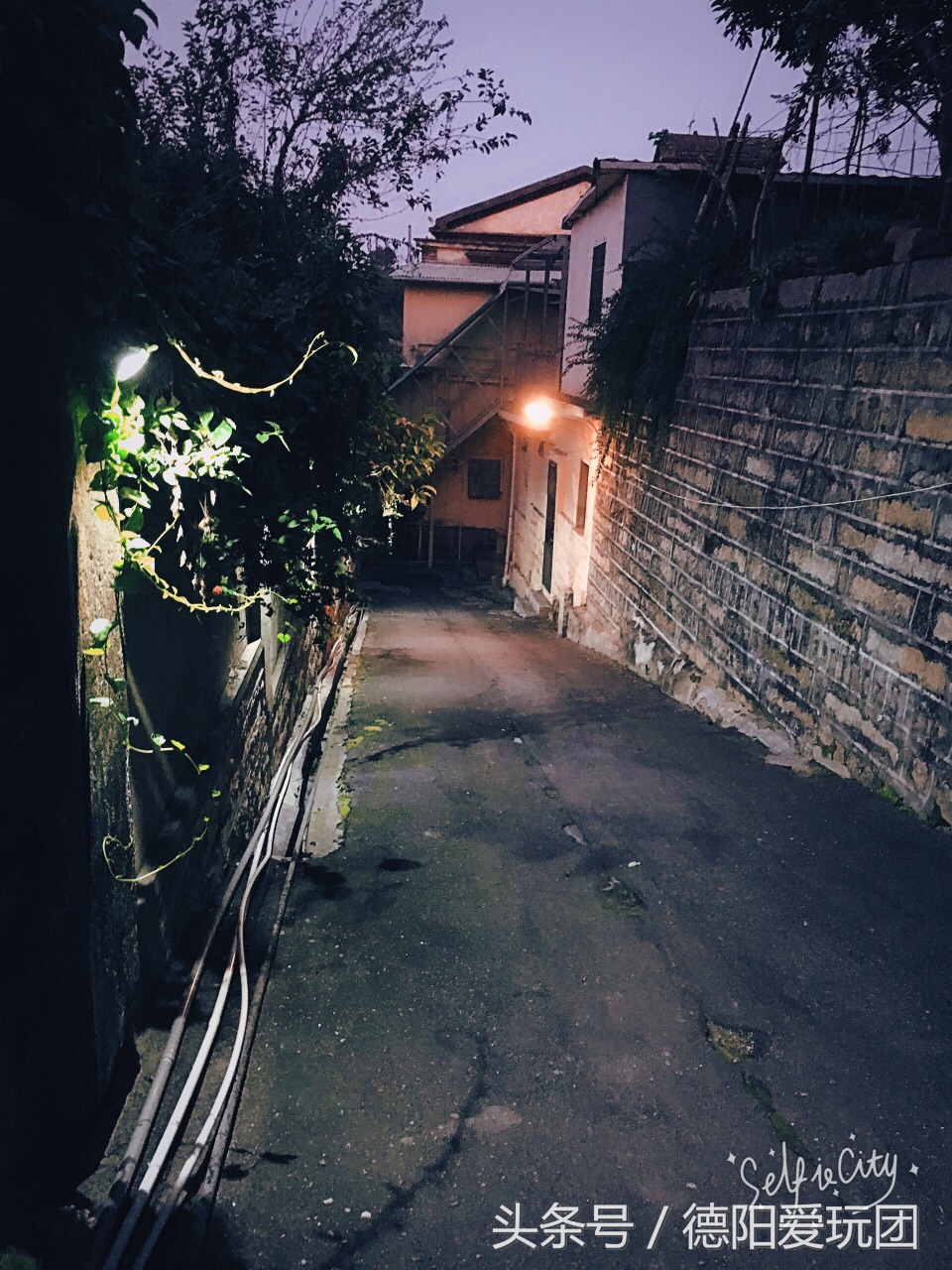 美丽的鼓浪屿旅游,德阳去厦门旅游攻略