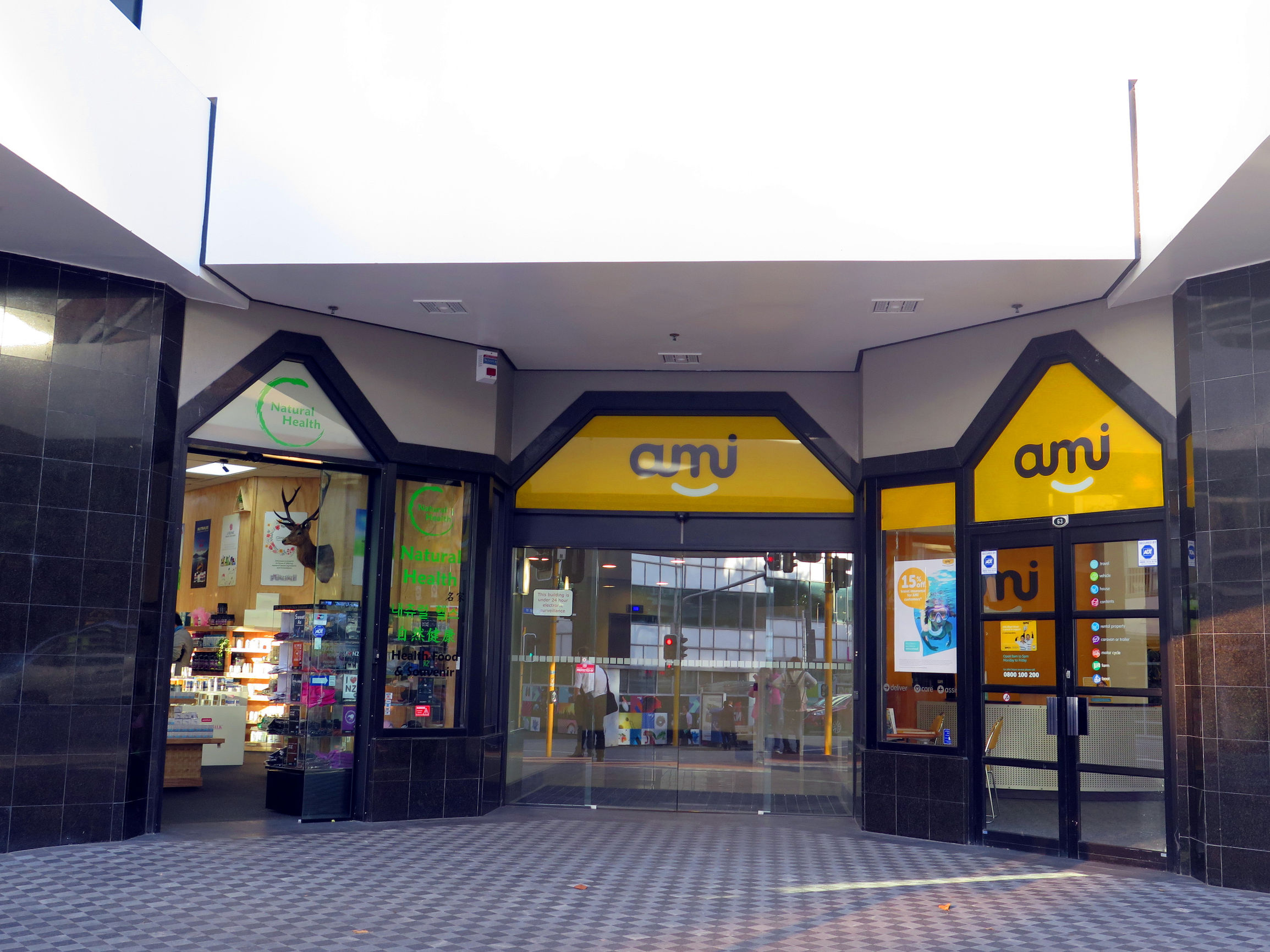 绵羊国,绵羊新西兰代购