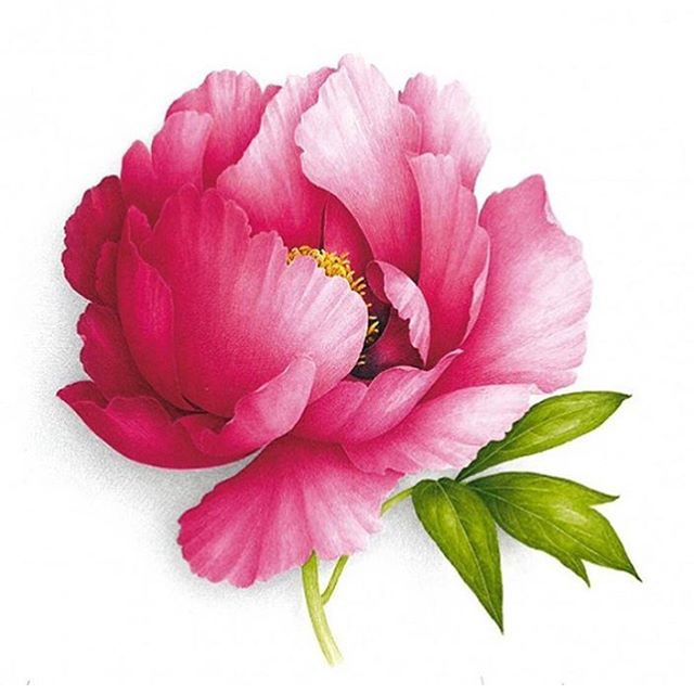 支原体感染，还能正常备孕吗？