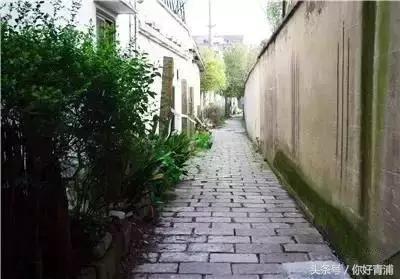 朱家角最美的地方,朱家角真是静心的好地方