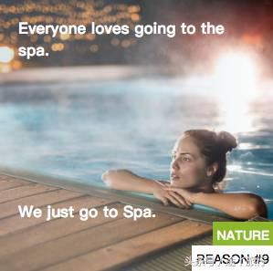 欧洲比利时表现,比利时国家队长期稳居世界第一