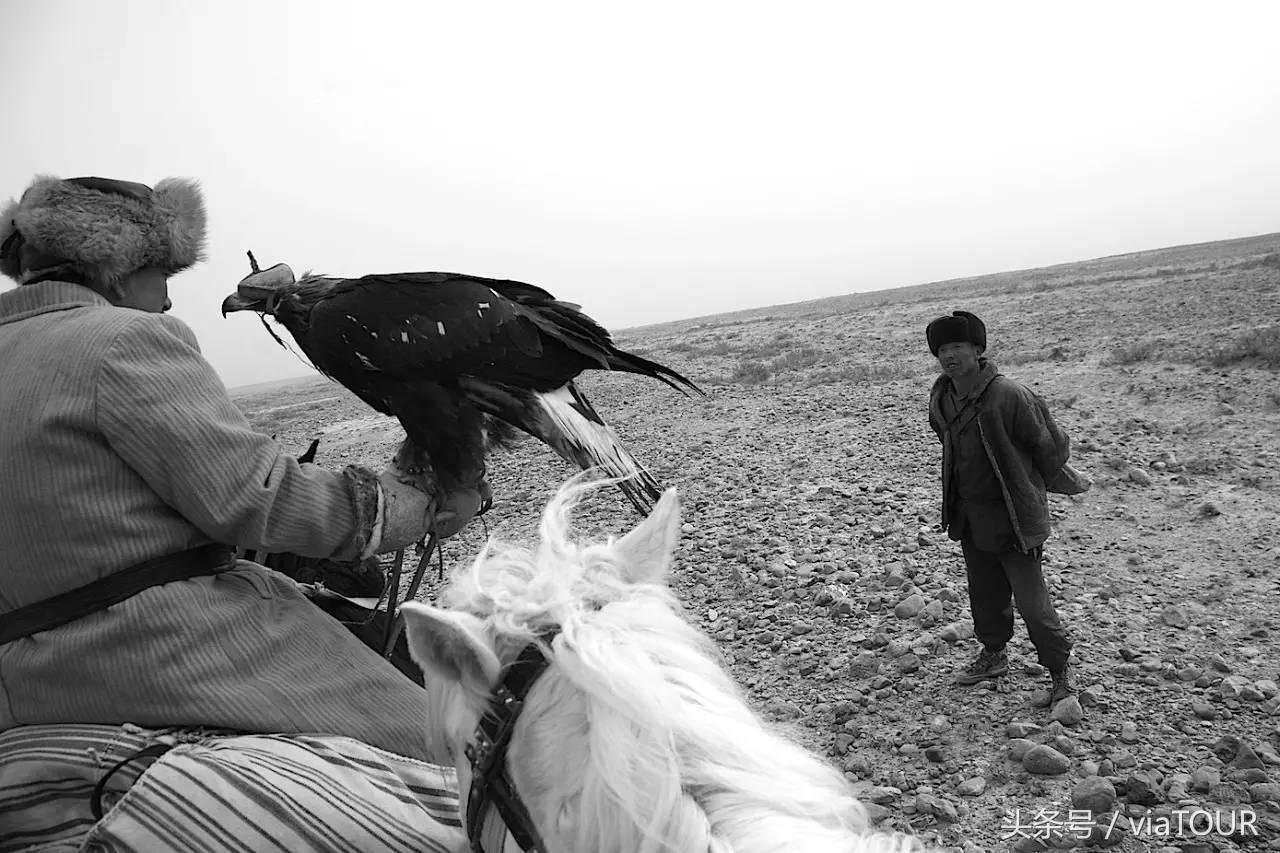 途迹|克尔克孜猎鹰的故乡
