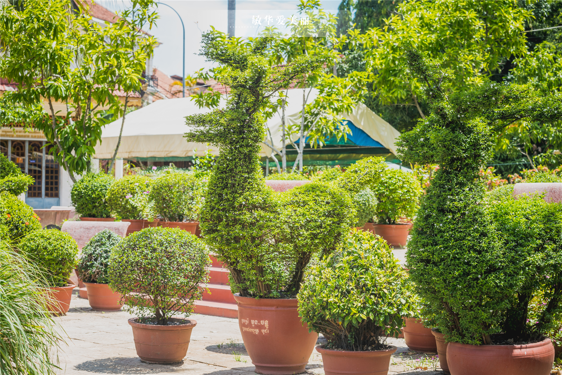 柬埔寨的传奇寺庙,历史上的柬埔寨寺庙