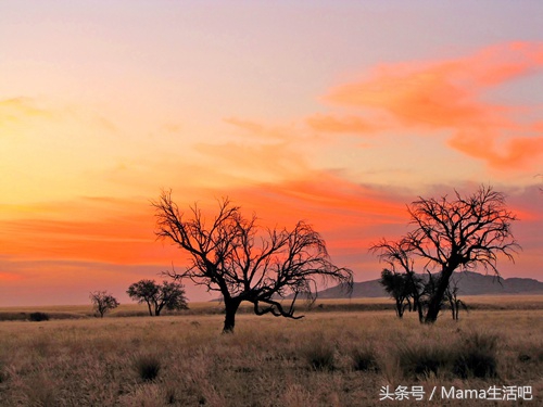 陈柏霖斑马外套同款,陈柏霖同款鞋子