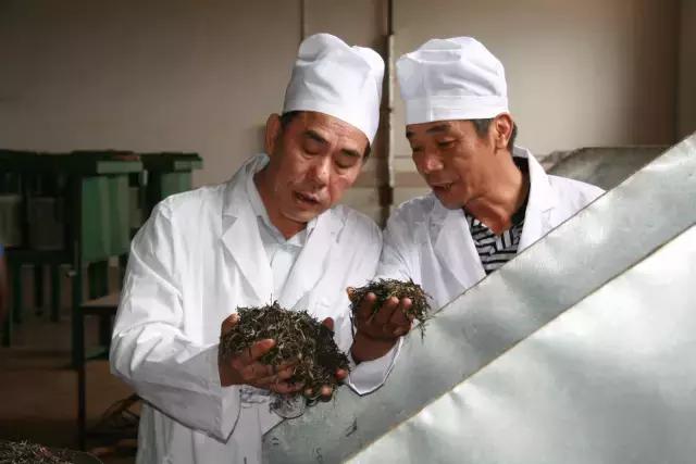 茶人传|尝尽茶中苦，坚守普洱情——陈升河