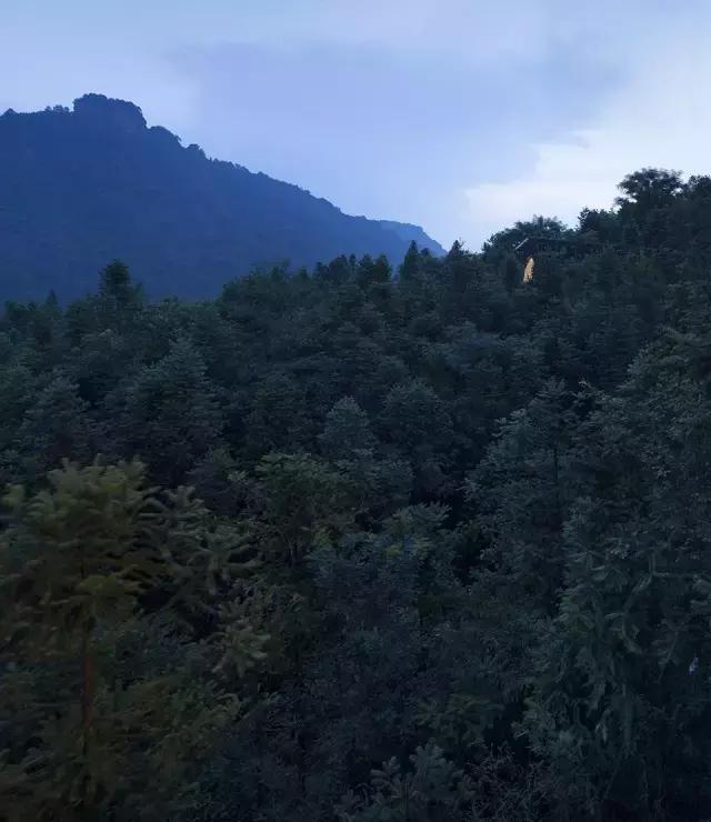 他们把3栋绝美树屋藏进了世外桃源里，用设计让你回归自然