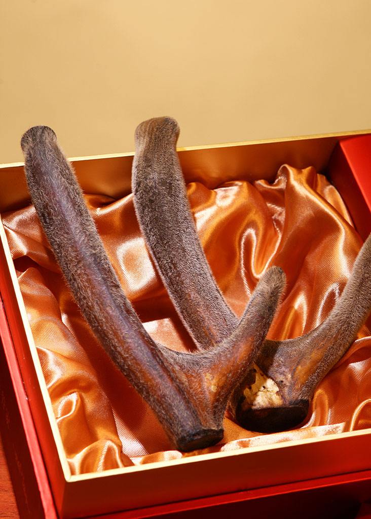 山西省农民养殖场,山西农民养山羊