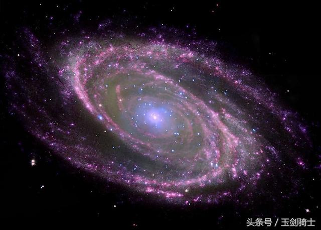 世界上最厉害的动物平头哥,平头哥盘点十大速度最快的动物