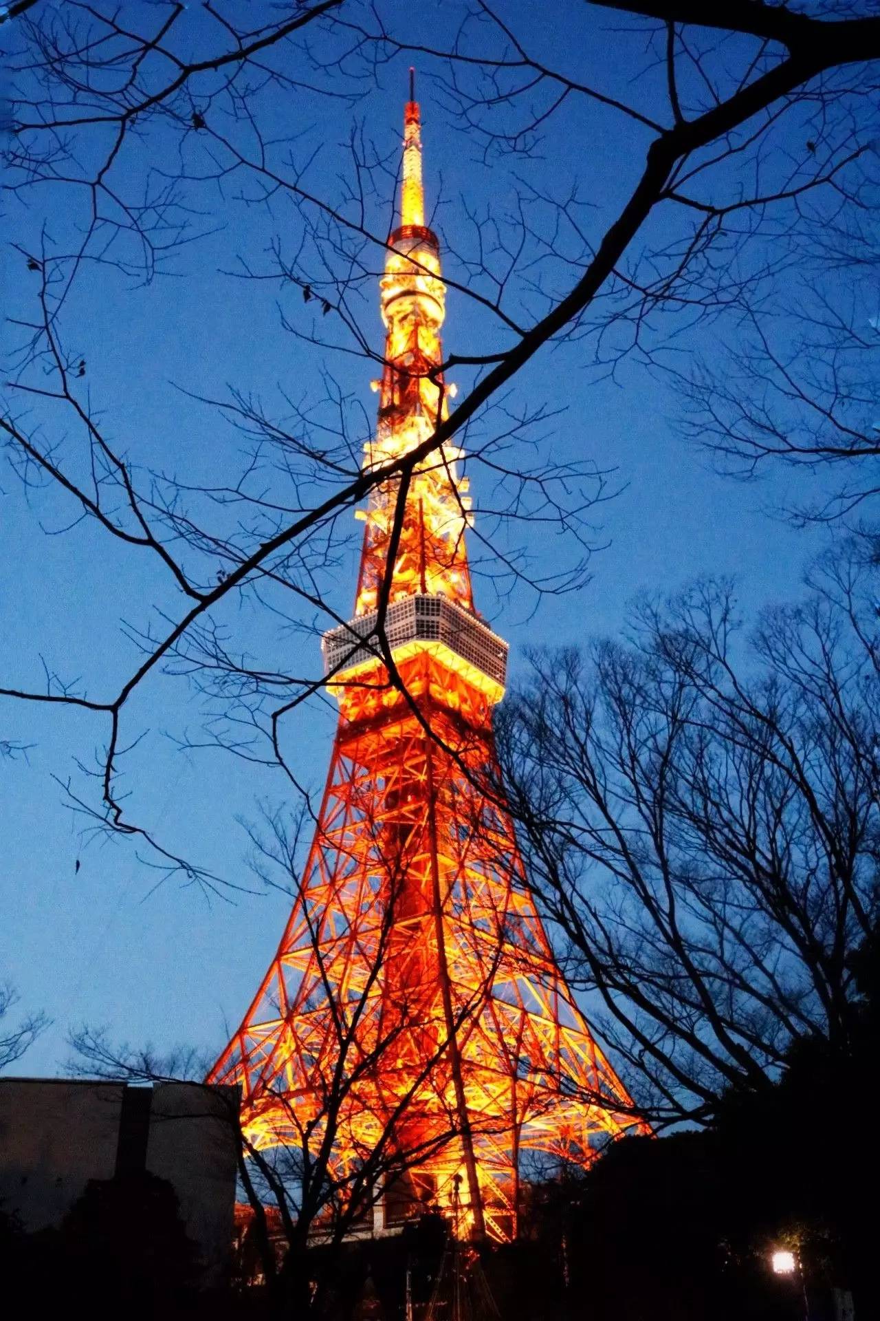 东京Tokyo丨如果你不爱她,请别招惹她