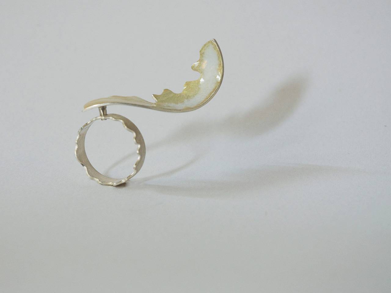 北京工业大学事件,北京工业大学研究生事件