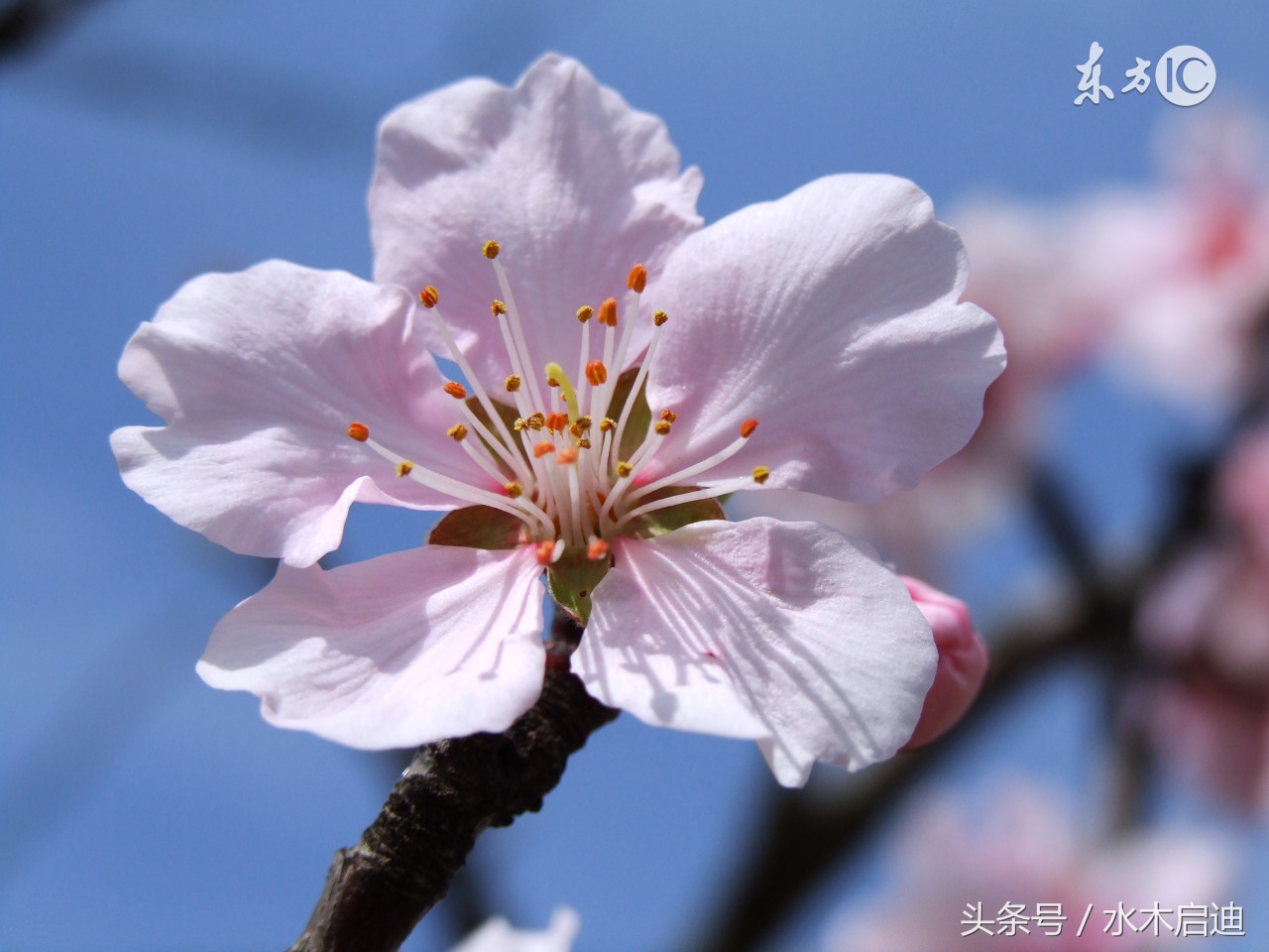 奶粉导购员与顾客对话,母婴店店员奶粉推销技巧