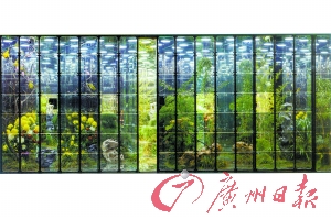 数据难看事情难办工作难干,数据漂亮