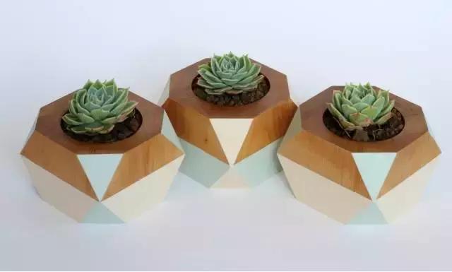 多肉化水叶片要不要摘下来,红宝石多肉掉叶子化水怎么办