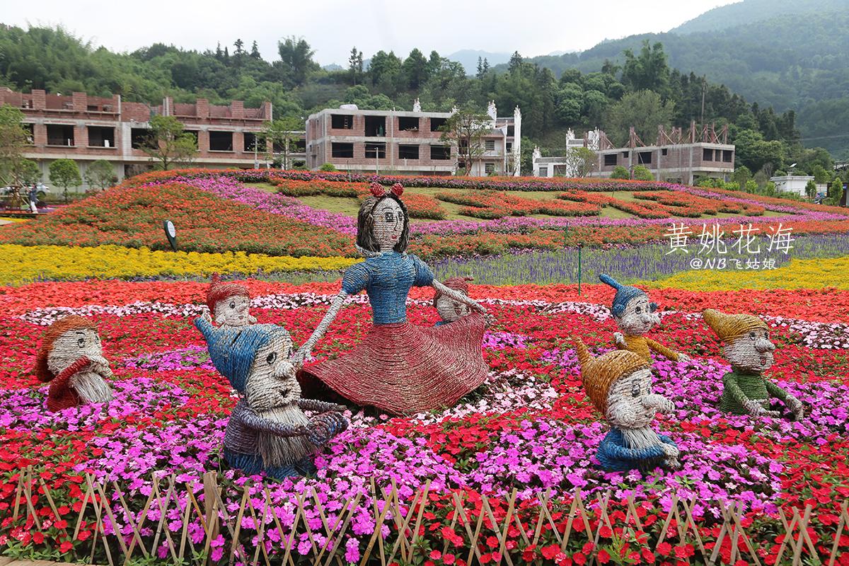 贺州暴雨黄姚花海,黄姚花海旅游攻略路线