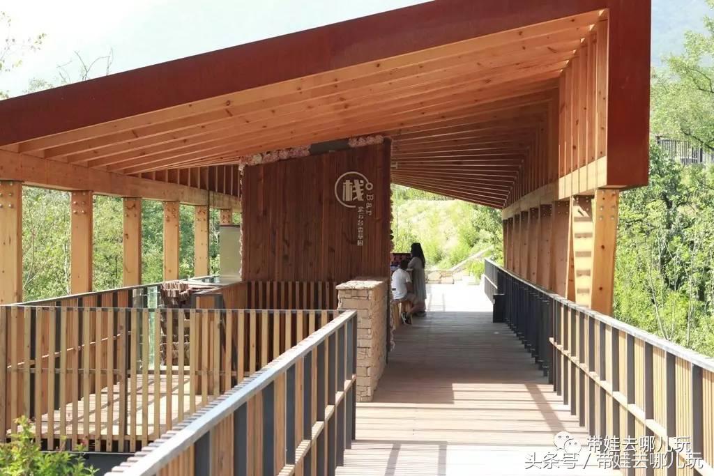 一次薰衣草之旅是如何变成采摘农家乐的?