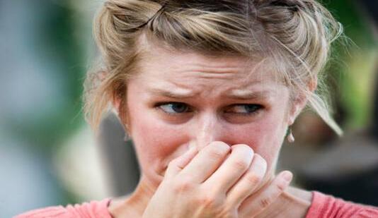 今天我们聊聊狗屎吧！