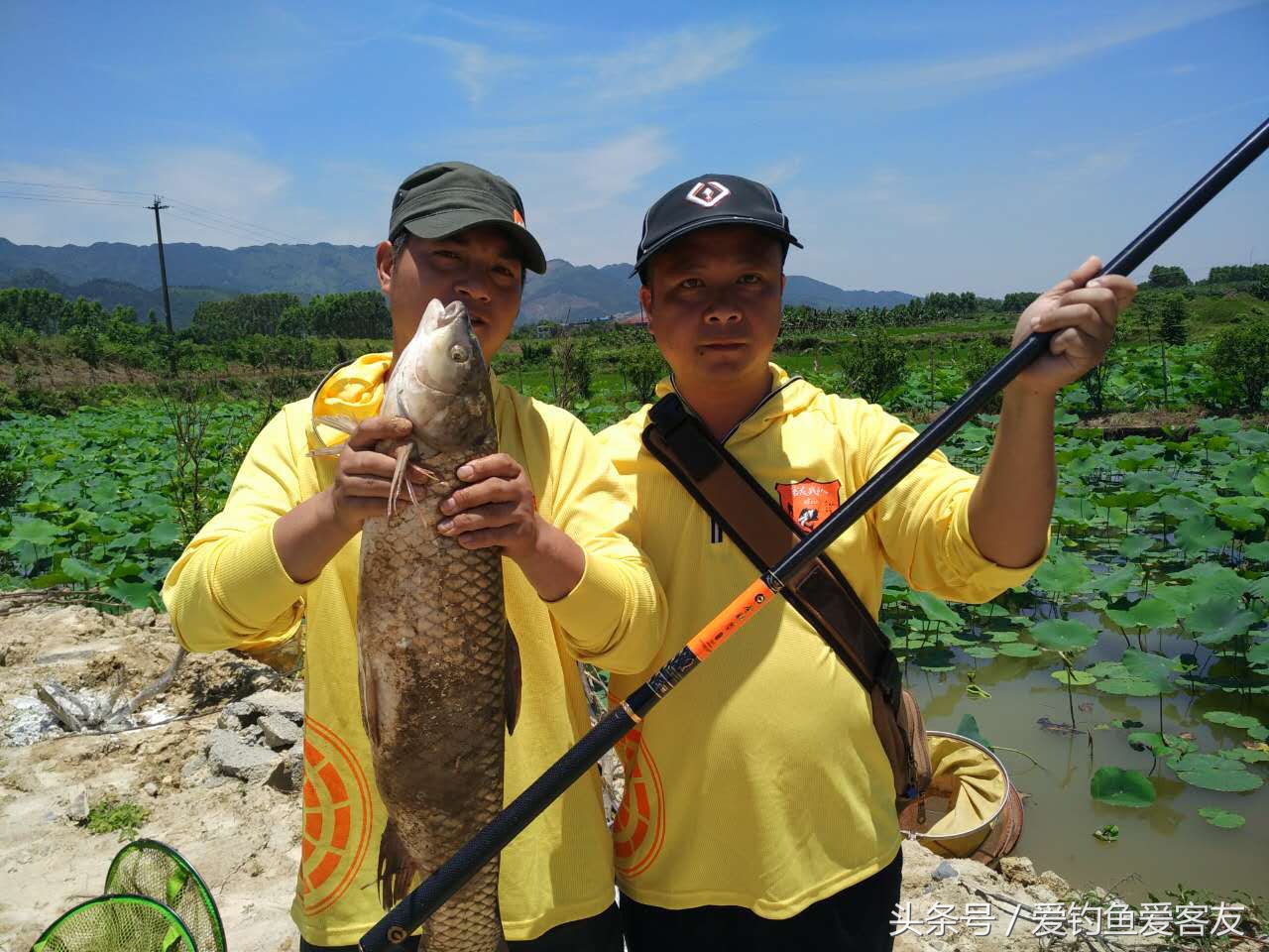 晒晒钓过的鱼,晒渔获