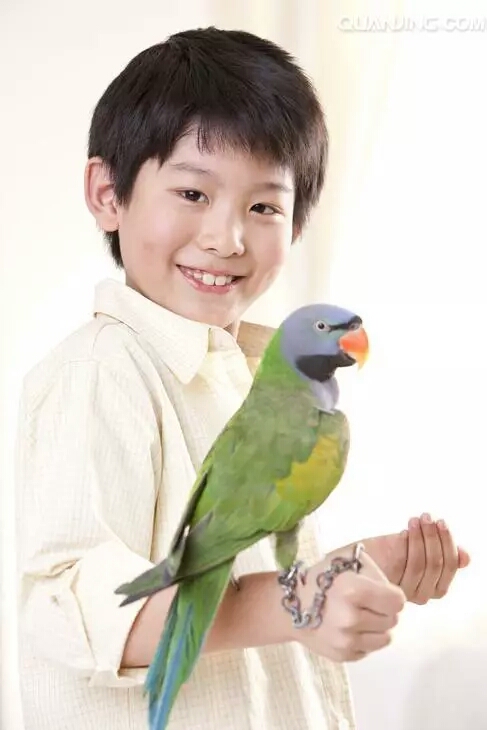 怎么教语言发育障碍宝宝说话,如何教智力低下的宝宝说话