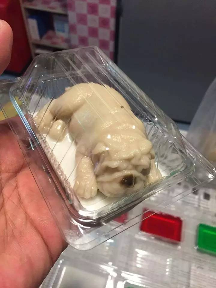 果冻沙皮狗,沙皮狗果冻